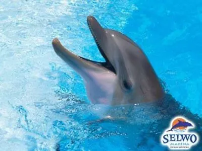 Central&beach Apartamento